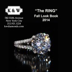 The Ring book cover v4
